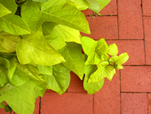 Dalton Art & Design: Retouching Photography